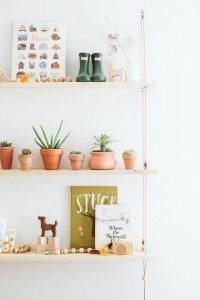 kaktusy sukulenty w pokoju dziecka